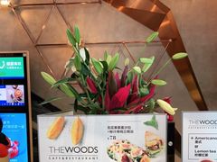 -THE WOODS 简餐 (国贸商城店)