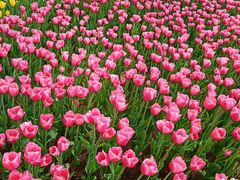 -长春公园(普阳街道)