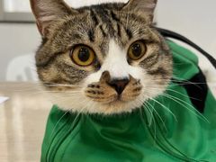 -荔康动物医院(康王北路店)