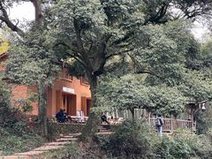 -杨家堂村