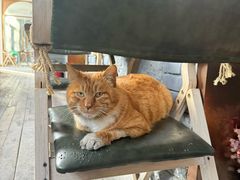 -CHURCH  BISTRO 教堂·餐吧