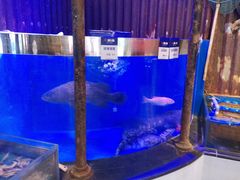 -开海·红岛海鲜虾水饺(石老人店)