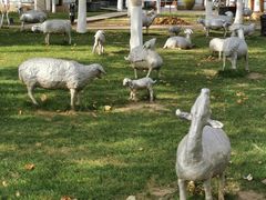 -九十九顶毡房(阜石路店)