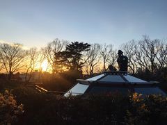 -三鹰之森吉卜力美术馆