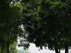 -蜀绣公园