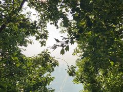 -大蜀山国家森林公园