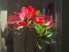 -中国湿地博物馆