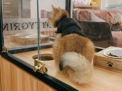 -袖虎·猫馆(体育西路店)