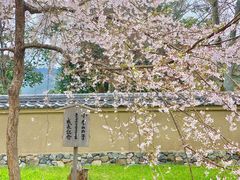 -醍醐寺