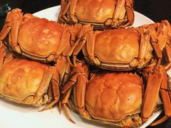 -沪碟·精菜坊(闵行店)