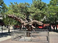 -大钟寺古钟博物馆