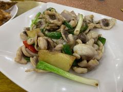 姜葱炒鱼片-红日饭店(裕隆三路店)