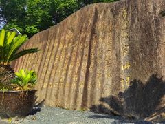 -陈家山荷花公园