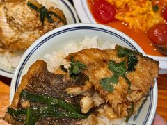 -九道菜有鸡鱼头(石鼓路店)