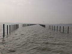 -漕湖湿地公园