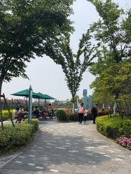 -季高兔窝窝亲子园(上海薰衣草公园店)