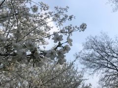 -苏州上方山国家森林公园