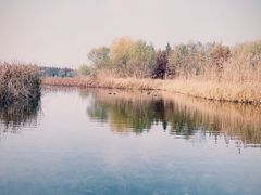 -溱湖国家湿地公园