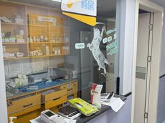 -渲嗳动物医院(异宠·复杂内科转诊中心·玖洲道富华里分院)