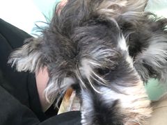 -怪兽屋·羊驼·猫咖·狗咖(俊华广场店)