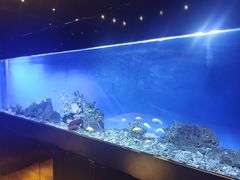 -避尘 Bsense·SPA(新会展总店)