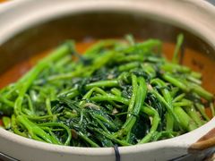 -熠盛粤味·顺德桑拿鸡(永康路店)