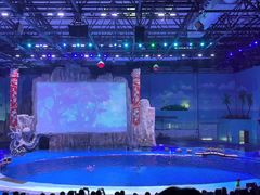 -华夏文旅海洋公园