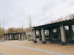 -永定河休闲森林公园