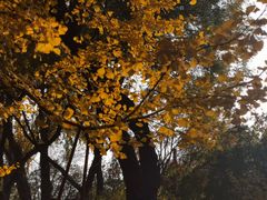 -碑林公园