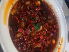 -茅庐毛血旺(临沂泰盛广场店)