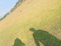 -大姆山草场