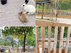 -水上乐园·欢乐世界