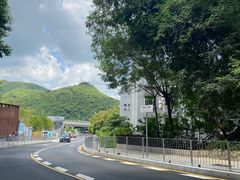 -梧桐山风景名胜区