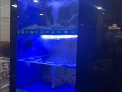 -一哥美食(总店)