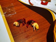 -罗氏十三活虾餐厅(光谷K11购物艺术中心店)