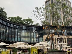-龙湖重庆时代天街
