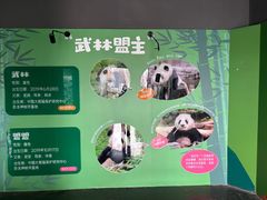 -武汉动物园