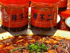 -辣不二地道川菜(汉水路店)