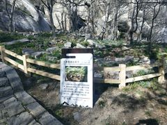 -崂山巨峰游览区