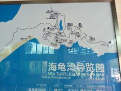 -广东惠东海龟国家级自然保护区