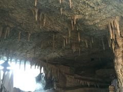 -仁爱团泊湖温泉中心