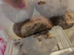 -小闺女儿肉龙(西湖道店)