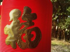 -嘉北郊野公园