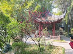 -望江楼公园