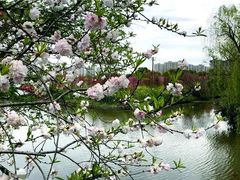 -南汇桃花村