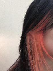 -IP SALON