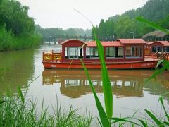 -溱湖国家湿地公园