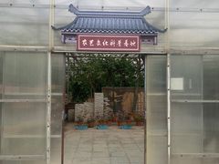 -上海都市菜园