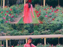 -人民公园(罗湖区)