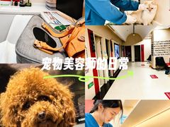 -御宝贝24h宠物医院·转诊中心·CT核磁血透中心(厦门总院)